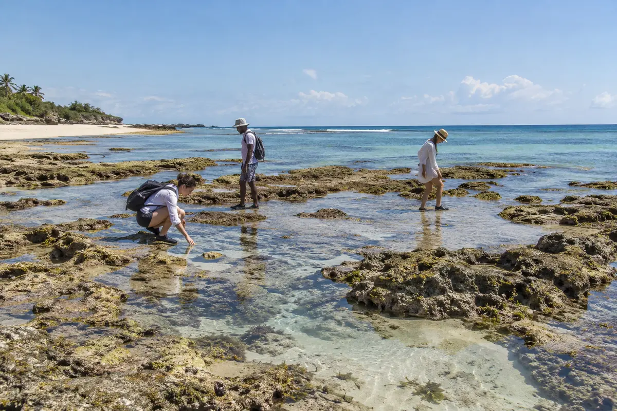Travellers exploring shallow pools and exposed reef along Bofa Beach at low tide.