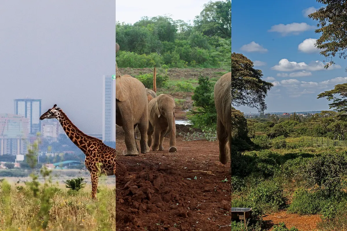 kenya-itinerary