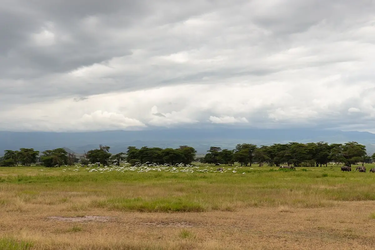 kenya-itinerary