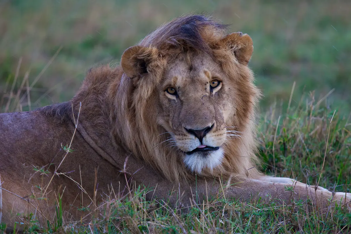 kenya-itinerary