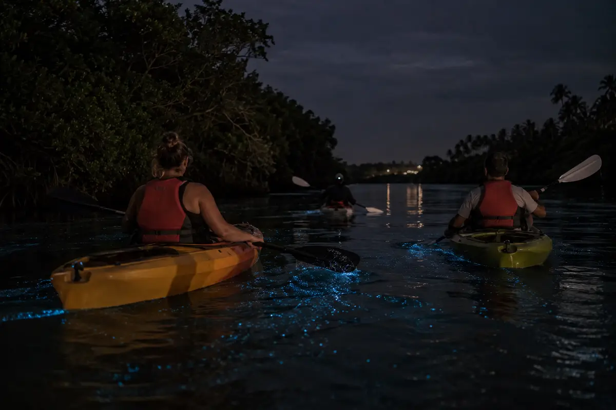 Guided kayakers paddling through faint bioluminescent light on Kilifi Creek at night.