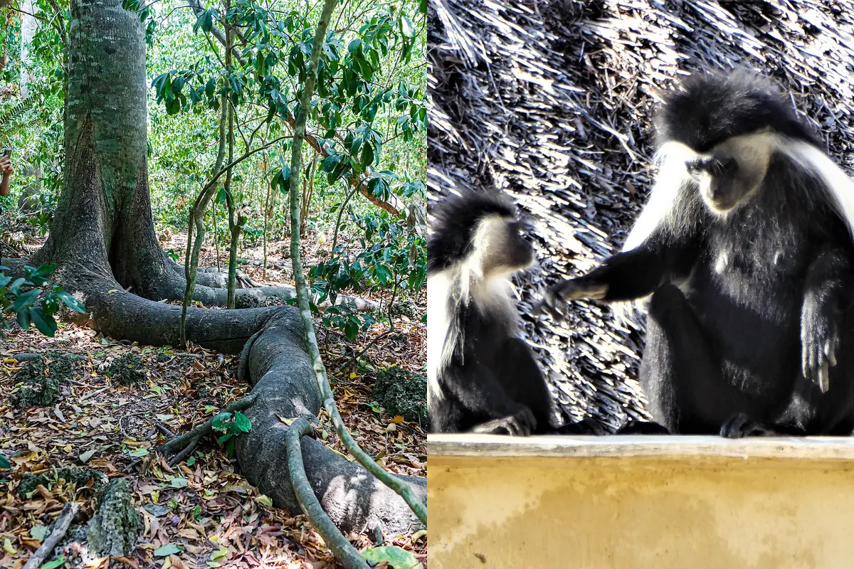 kenya-itinerary