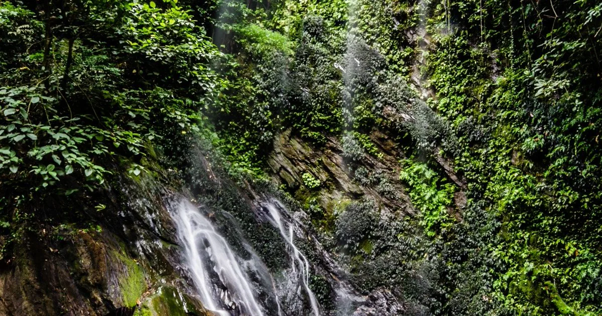 Water cascading over dark rocks surrounded by dense vegetation at Erin-Ijesha Waterfalls in Osun State.