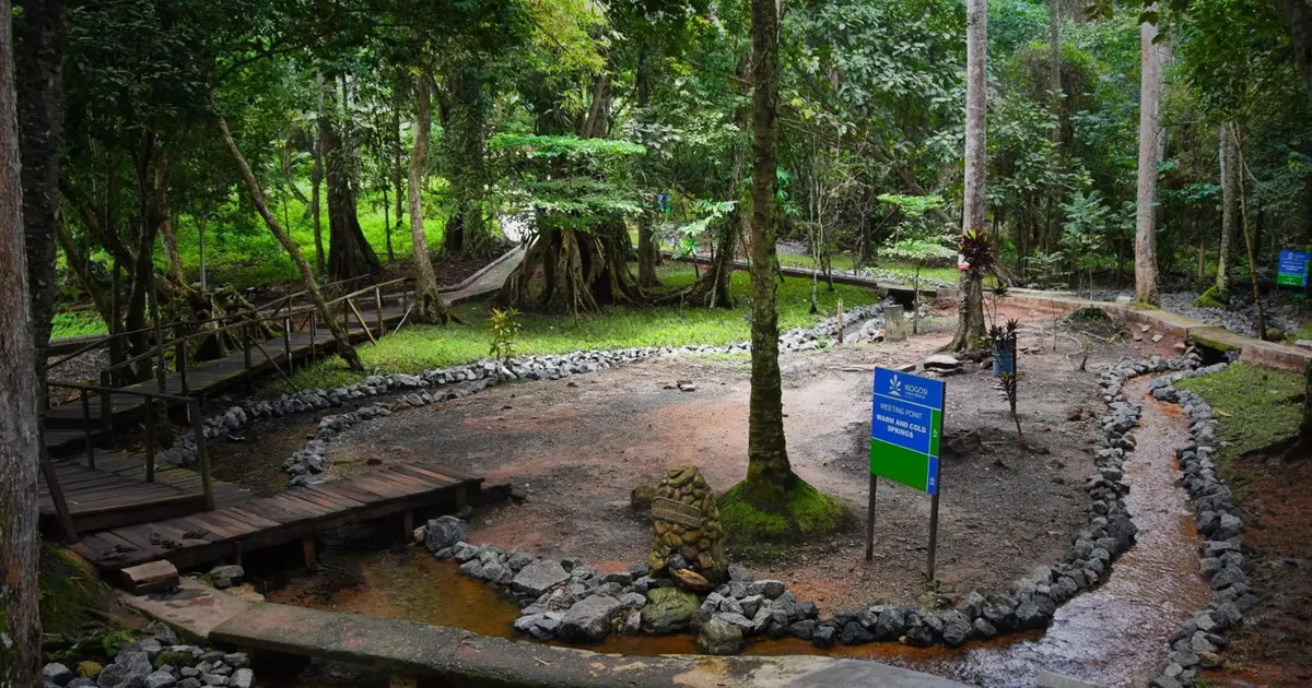 Warm and cold streams meeting beside forest walkways at Ikogosi Warm Springs in Ekiti State.