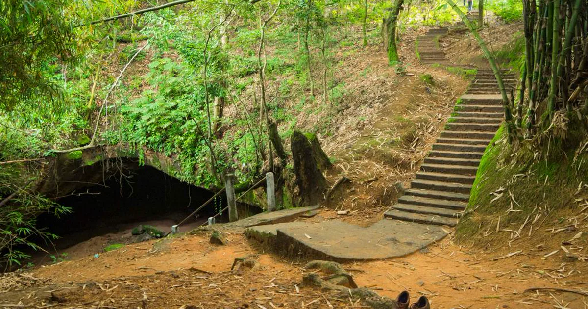 Stone steps descending through thick vegetation towards the entrance of Ogbunike Caves in Anambra State.