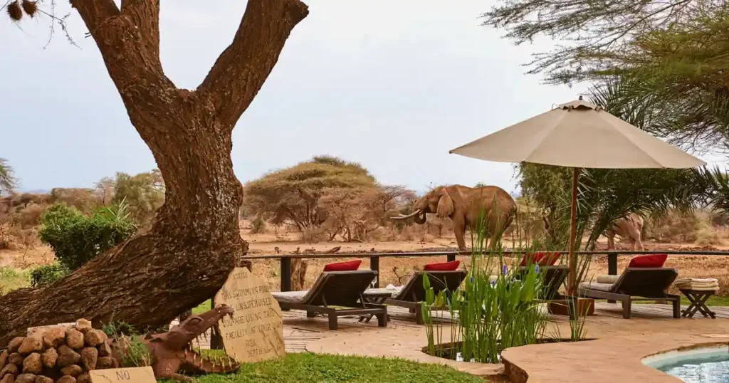 Tawi Lodge Amboseli