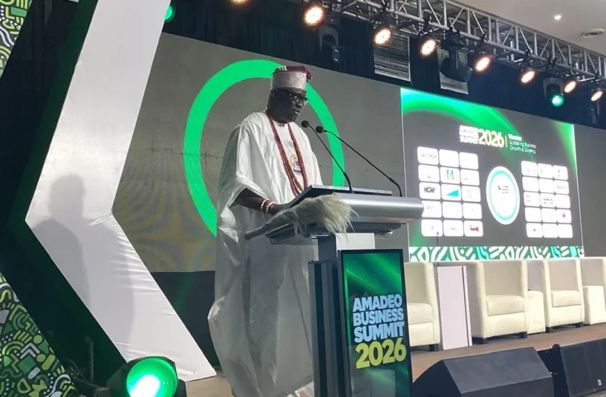 Oba Akintoye Adeoye speaking at the Amadeo Business Summit in Enugu, or a residential estate under construction in Enugu.