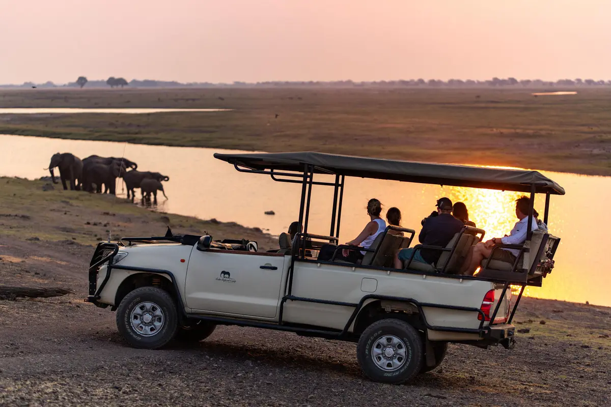 Open safari vehicle watching elephants beside the Chobe River at sunset