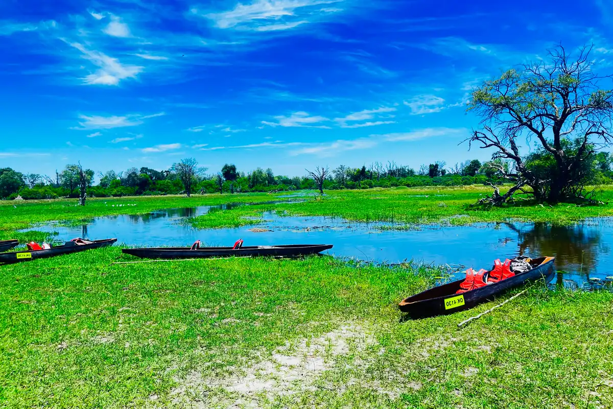 The Linyanti River and surrounding wetlands on the Botswana–Namibia border
