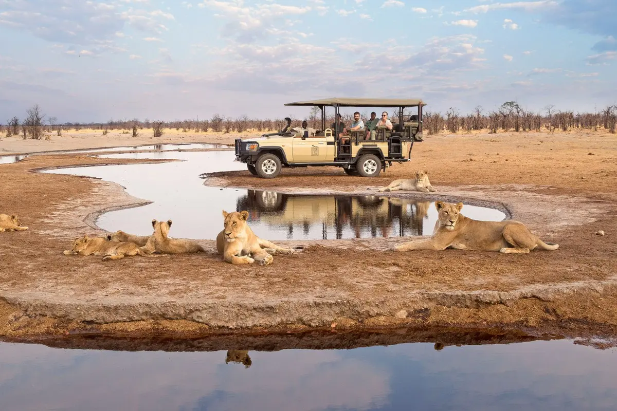 Safari vehicle watching lions beside a waterhole in Savuti, Chobe National Park