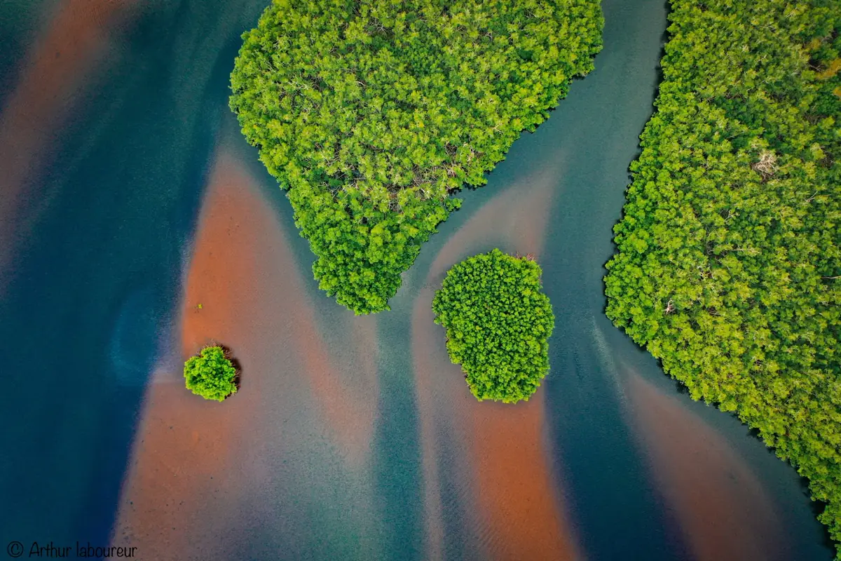 Mangrove islands and tidal channels in Conkouati-Douli National Park