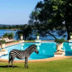where-to-stay-in-livingstone