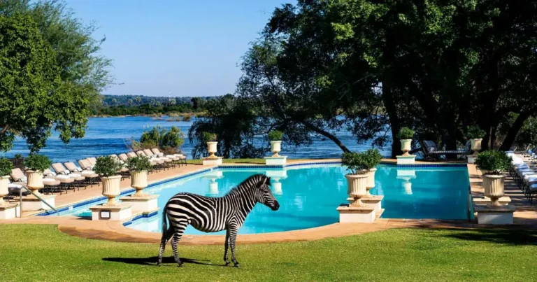 where-to-stay-in-livingstone